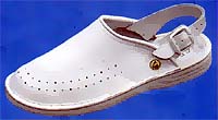 pec018.jpg
