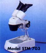 stm_703.jpg